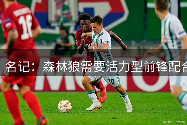 名记：森林狼需要活力型前锋配合三球&华子打快攻 库明加很合适